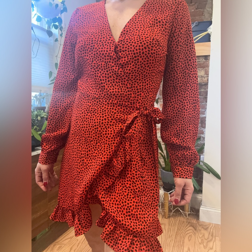 IVIVI DRESS